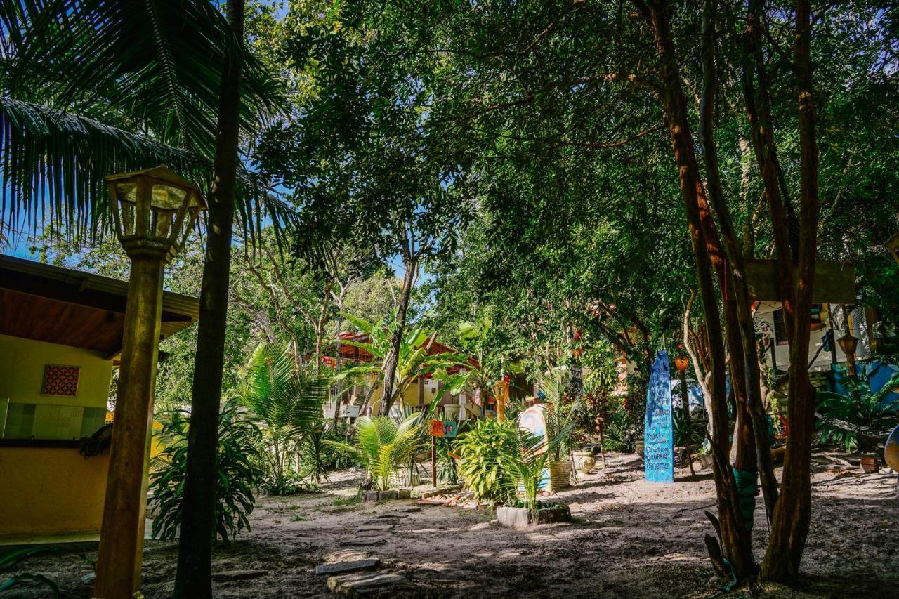 Macaco Surf Hostel Praia de Pipa Exteriör bild