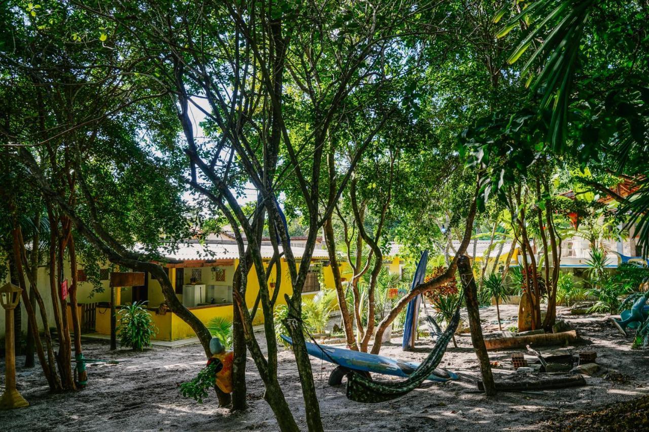 Macaco Surf Hostel Praia de Pipa Exteriör bild
